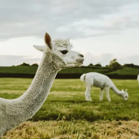 Ferienhaus The Granary- Hopewell *