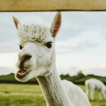 The Granary- Hopewell *