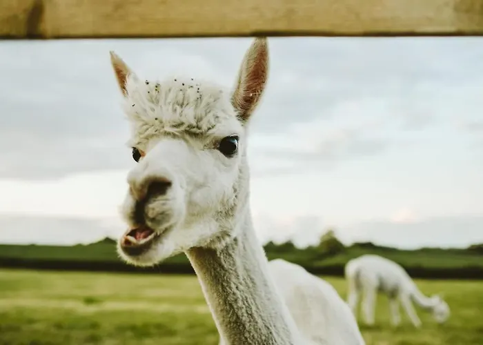 The Granary- Hopewell *