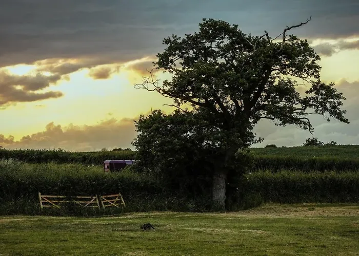 The Granary- Hopewell * بريستول