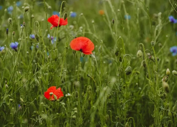 The Granary- Hopewell Feriehus *