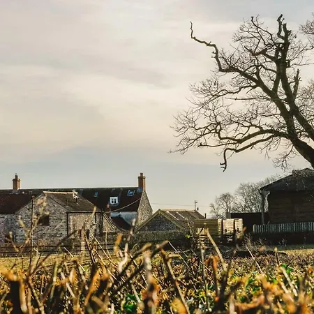 The Granary- Hopewell *