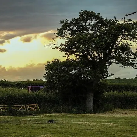 The Granary- Hopewell * Bristol