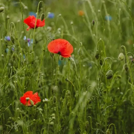 The Granary- Hopewell Dom wakacyjny *