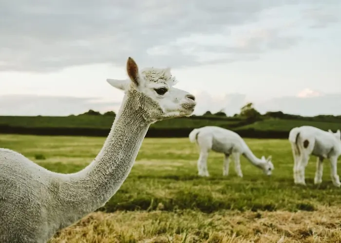 Ferienhaus The Granary- Hopewell *